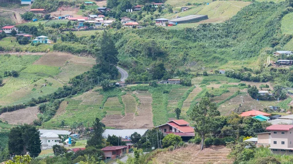 Natur Hochland Grüne Landschaft Blick Auf Kundasang Stadt Sabah Malaysia — Stockfoto