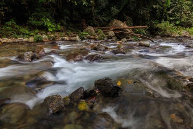 Doğa Manzaralı derin orman temiz Nehri (görüntü biraz uzun expo ve hareket bulanıklığı)