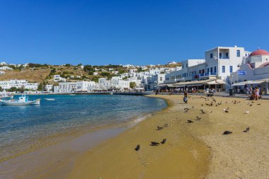 Santorini, Yunanistan - 14 Eylül 2017: Güzel sahil plaj manzara beyaz mimarisi ile geleneksel evler ile mavi kapı Santorini Island, Yunanistan 