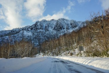 Güzel kış manzarası ile kış orman kar altında toz kar Hokkaido Japonya'da bir yolda
