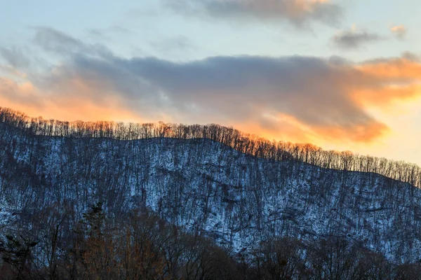 Prachtige Winterlandschap Met Winter Bos Onder Sneeuw Poeder Sneeuw Een — Stockfoto