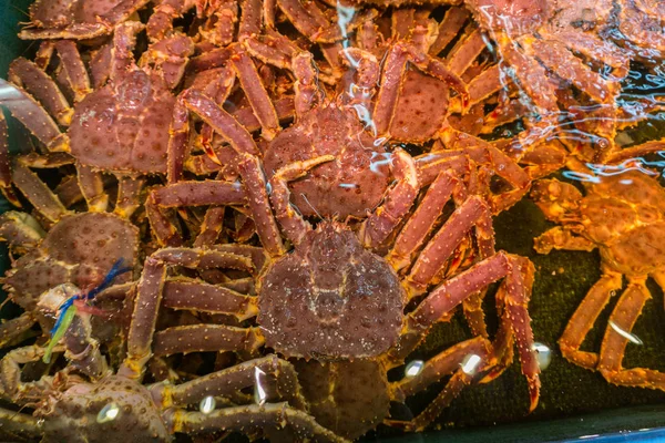 Fresh Japanese hair crab, King Crab of Hokkaido, Japan , Fresh Red King Crab