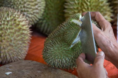 yaşlı adam el aç meyve 