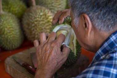 yaşlı adam el aç meyve 