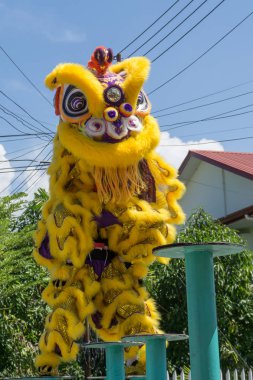  Aslan Çin yeni yıl Festivalde dans