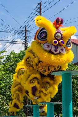  Aslan Çin yeni yıl Festivalde dans