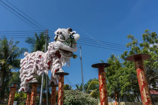 Löwentanz Beim Chinesischen Neujahrsfest — Stockfoto