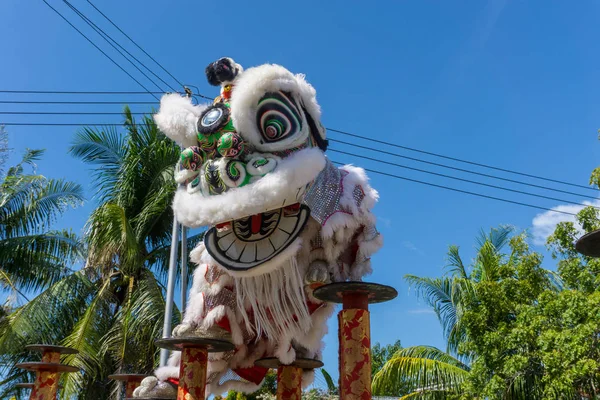  Aslan Çin yeni yıl Festivalde dans