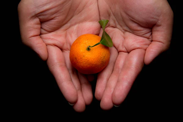 Hand with Tangerine and mandarin orange isolated on white , mandarin orange are symbolic to  Fruits of Prosperity and Chinese new year, Chinese New Year Concept (image selective focus)