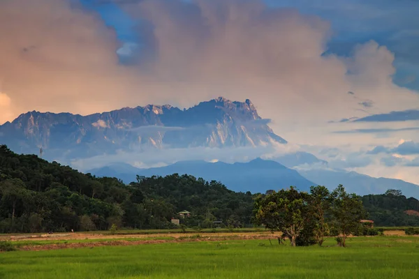 Belle Vue Sur Paysage Coucher Soleil Jeune Rizière Avec Mont — Photo