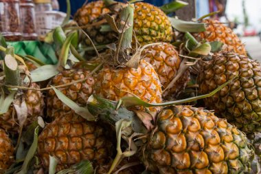 Kundasang, Sabah, Malezya 'da satılık taze ananas (seçici odak)