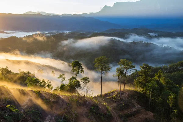 Doğanın muhteşem manzarası. Sisli bir sis ve Kinabalu Dağı, Sabah, Borneo Dağı.