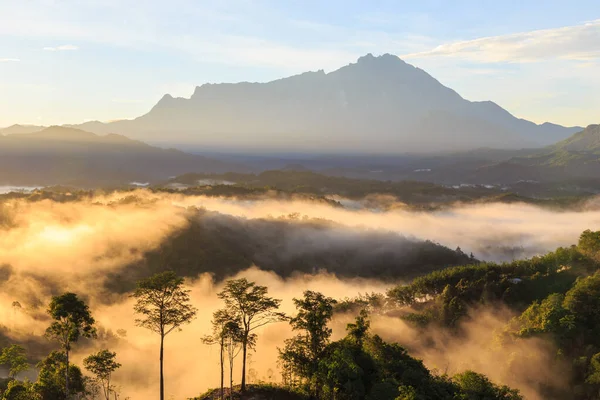 Incroyable Belle Vue Sur Nature Paysage Lever Soleil Avec Brume — Photo