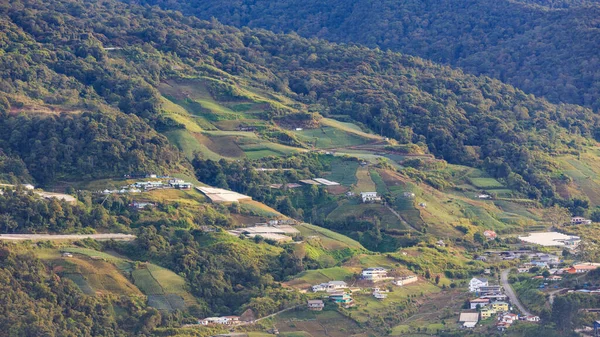 Bela Natureza Paisagem Rural Casa Rural Local Com Floresta Verde — Fotografia de Stock