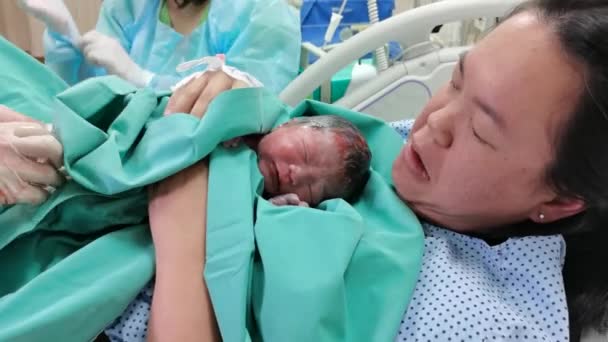 Asia New Born Baby Mothers Chest Right Birth New Mother — Stock Video