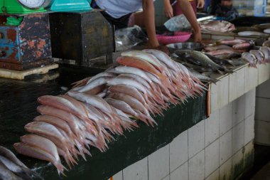 Kota Kinabalu, Sabah, Borneo 'daki taze balık pazarında taze balık sergilendi - Seyahat Konsepti