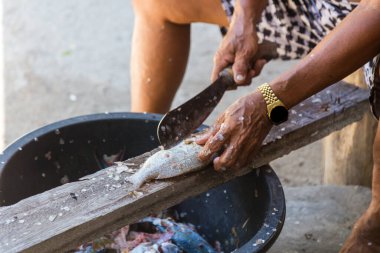 Yerel yaşlı adam Mantanani Adası, Kota Belud, Sabah, Borneo 'da kendi yöntemleriyle balık kesiyor.