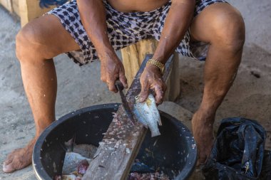 Yerel yaşlı adam Mantanani Adası, Kota Belud, Sabah, Borneo 'da kendi yöntemleriyle balık kesiyor.