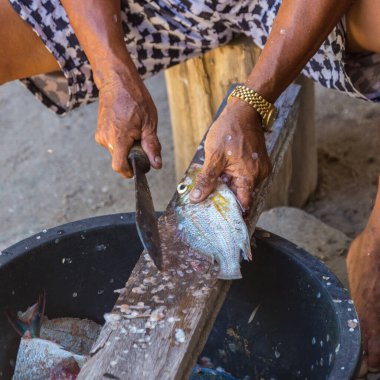 Yerel yaşlı adam Mantanani Adası, Kota Belud, Sabah, Borneo 'da kendi yöntemleriyle balık kesiyor.