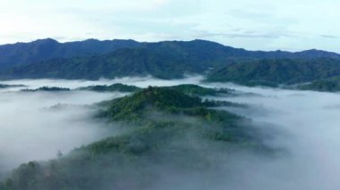 Tropikal yağmur ormanları ve bulutların güneş doğarken çekilmiş güzel yeşil doğa manzarasının 4K görüntüsü.
