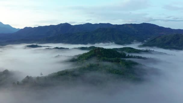 Aerial Footage Beautiful Fresh Green Nature Landscape Scene Tropical Rainforest — Stock Video