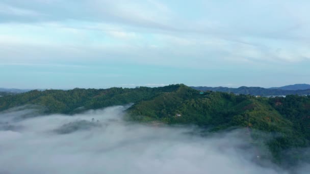 Imagens Aéreas Bela Paisagem Verde Fresca Natureza Cena Floresta Tropical — Vídeo de Stock