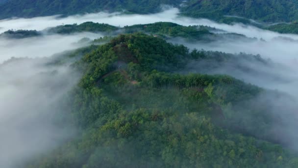 Aerial Filmato Bella Natura Fresca Verde Paesaggio Scena Foresta Pluviale — Video Stock