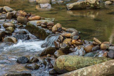 Nehir ırmağın üzerinden doğanın kırsal köyüne akıyor..