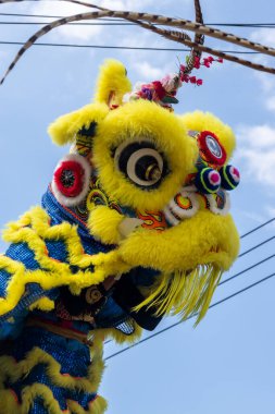 Çin Yeni Yıl Geçidi sırasında sokaklarda dans eden renkli Çin aslanları.