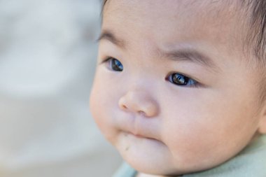 Sahilde Asya Bebeği 'nin yakın çekimi.