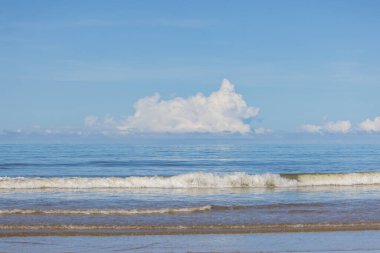Okyanusun kenarında bulutsuz ve berrak bir gökyüzü ile yakalanmış huzurlu bir an..
