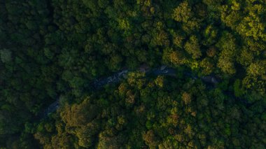 Kundasang, Sabah, Malezya 'daki güzel yağmur ormanlarının insansız hava aracı görüntüleri.