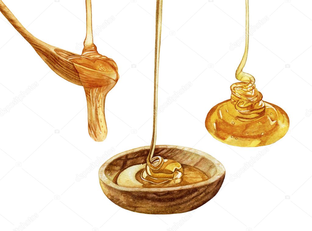 Watercolor dripping honey isolated on white background. Wooden spoon with honey. Delicious dessert.