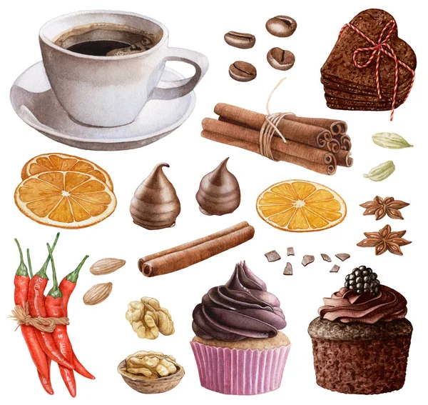 Beyaz arka plan üzerinde izole suluboya tatlı sert. Kahve, fincan, çikolata, tarçın, fındık, ceviz, badem, baharatlar, kekler, kırmızı biber, portakal dilimleri.