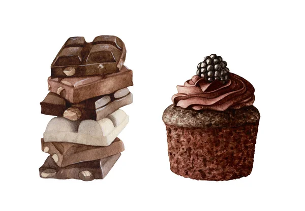 Suluboya çikolata parçaları ile fındık, çikolata muffin krema ve blackberry ile. Lezzetli tatlı.