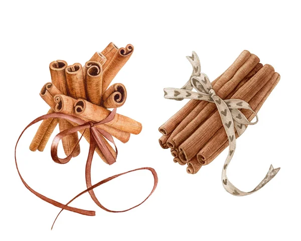 Beyaz arka plan üzerinde izole suluboya tarçın. Güzel baharat.