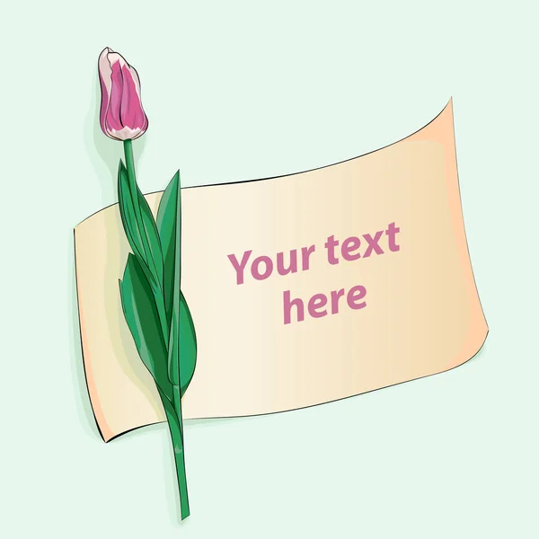 Hermoso Tulipán Rosa Con Trozo Papel Para Texto Ilustración Vectorial — Archivo Imágenes Vectoriales