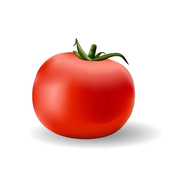 白い背景の赤い完熟トマト ベクトル図 — ストックベクタ