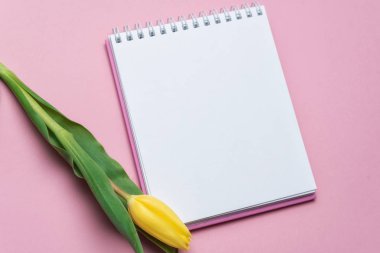 çiçek Lale pembe bir zemin üzerine sarı