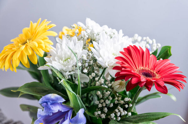 A bouquet of bright flowers on a colored background
