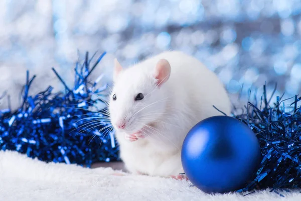 Happy New Year! Symbol of New Year 2020 - white or metal (silver) rat. Cute rat with Christmas decorated