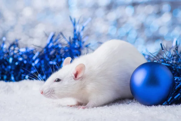 ¡Feliz Año Nuevo! Símbolo del Año Nuevo 2020 - rata blanca o metálica (plata). Linda rata con Navidad decorada — Foto de Stock