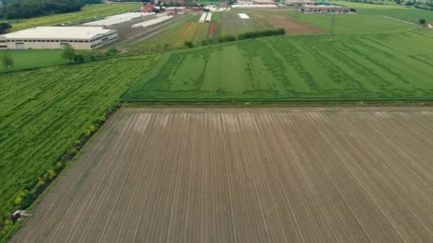 Aérea Volando Sobre Campos Cultivados Campo Rural Ocupación Agrícola Vista — Vídeos de Stock