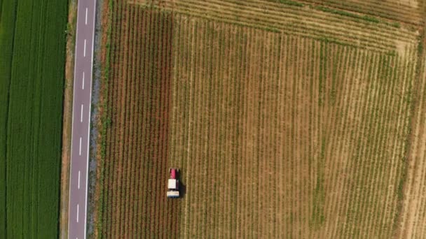 高空作业 拖拉机在耕地 农业占领 俯视茂盛的绿色谷物作物 Sprintime 在意大利 骑自行车路横穿农村 — 图库视频影像
