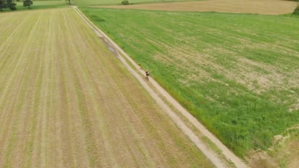 Aérea Ciclismo Hombre Largo Del Camino Del País Través Campos — Vídeo de stock