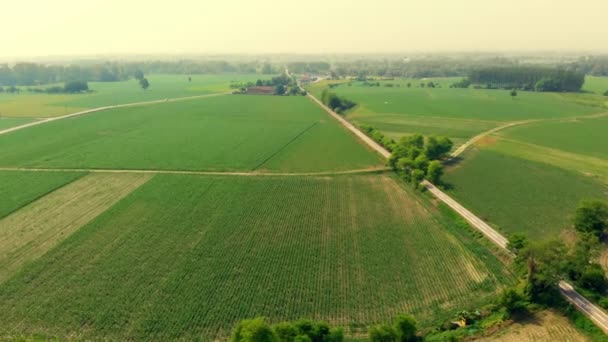 Antenowe Latające Nad Cyklu Lane Przekraczania Wsi Ludzie Rowerze Wzdłuż — Wideo stockowe