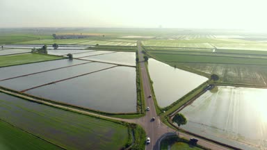 Hava: pirinç paddies üzerinde uçan, sular altında ekili alanları tarım arazileri kırsal İtalyan kırsal, Tarım Meslek, sprintime Piedmont, İtalya