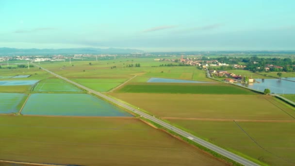 Aeronáutica Sobrevoando Arrozais Campos Cultivados Inundados Terras Agrícolas Campo Italiano — Vídeo de Stock