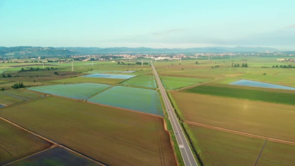 Aeronáutica Sobrevoando Arrozais Campos Cultivados Inundados Terras Agrícolas Campo Italiano — Vídeo de Stock