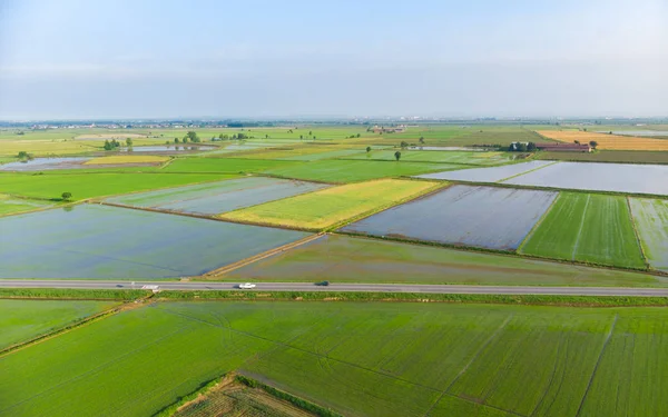 Aerial Rice Paddies Flooded Cultivated Fields Farmland Rural Italian Countryside — Stock Photo, Image